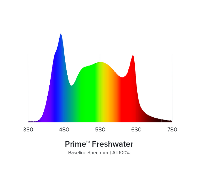 Detail photo for Aqua Illumination AI Prime 16 Smart Freshwater LED Light - Black Body