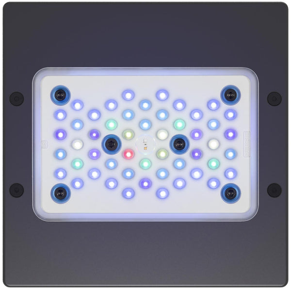 Detail photo for EcoTech Marine Radion XR15 G5 Blue LED Aquarium Light