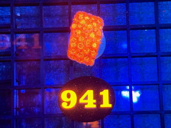 Episode 534 Live Sale Orange Tag #941 RED FLOWERPOT