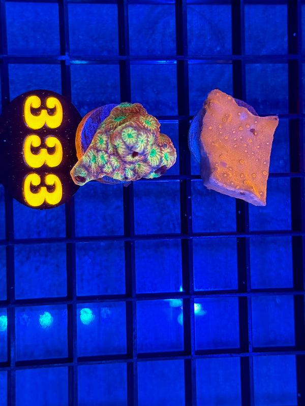 Episode 537 Live Sale Orange Tag #333 FRAG PACK