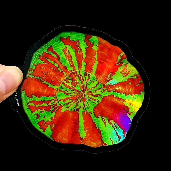 Bleeding Apple Scoly Coral Sticker