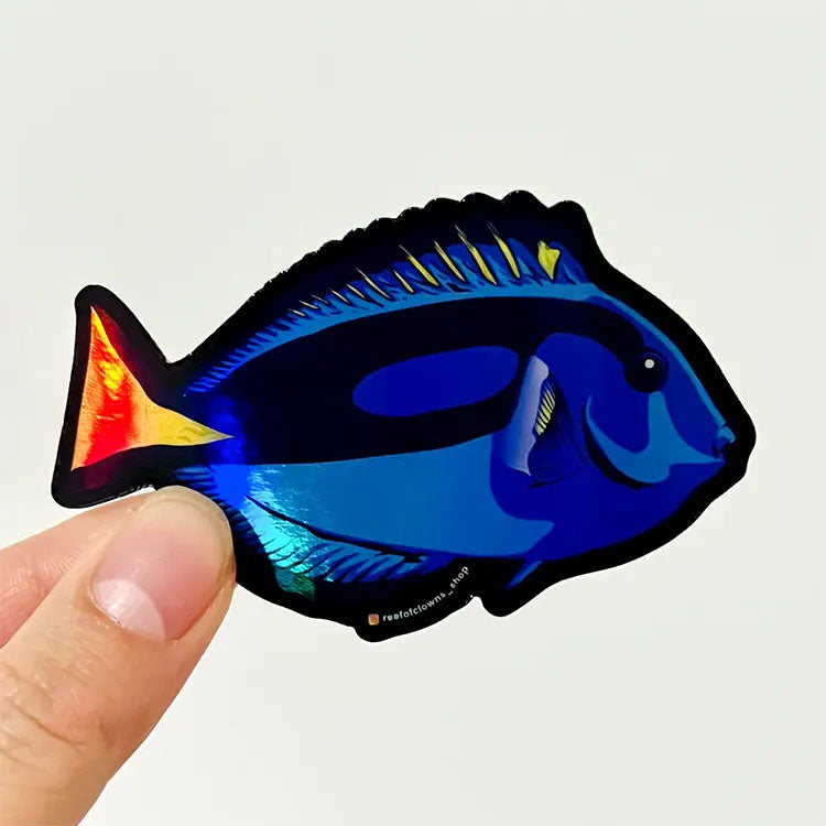 Blue Tang Holographic
