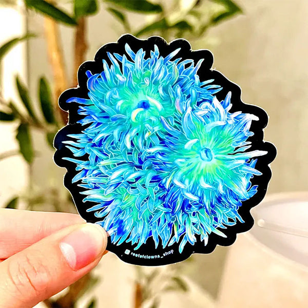 Duncan Coral Holographic