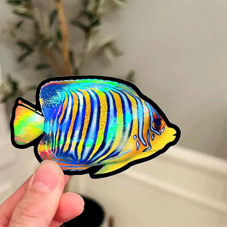 Emperor Angelfish Holographic