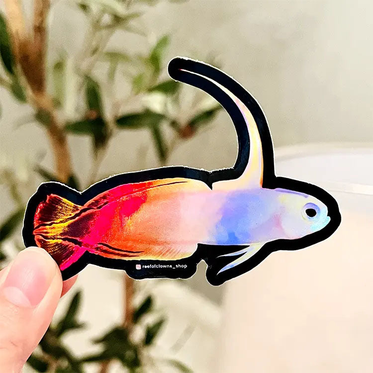 Firefish Goby Sticker Holographic