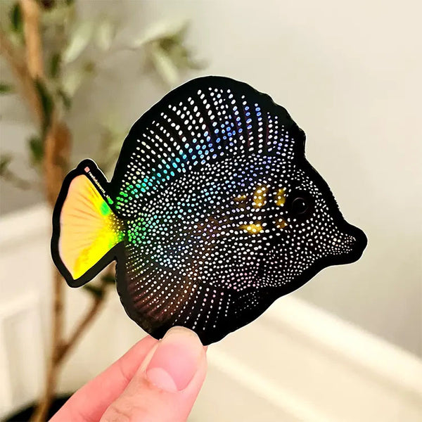 Gem Tang Holographic