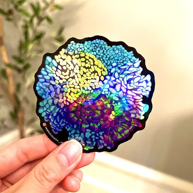 Colony Sticker Fun Hammer Coral Colony Sticker sticker! Show your aquarium love with ...