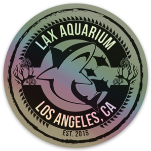 Round Holographic Sticker