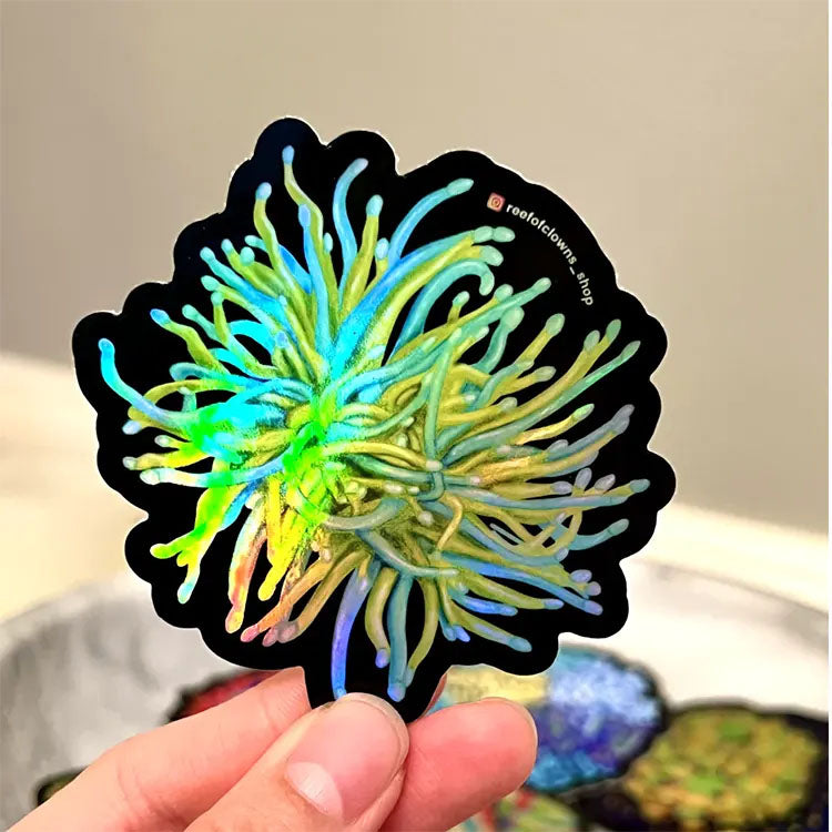 Holy Grail Torch Coral Sticker Holographic