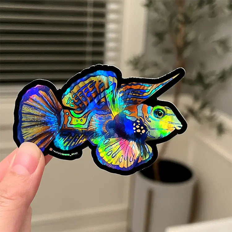 Mandarin Goby Holographic