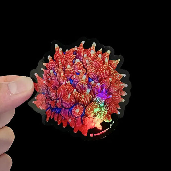 Rose Bubbletip Anemone Sticker