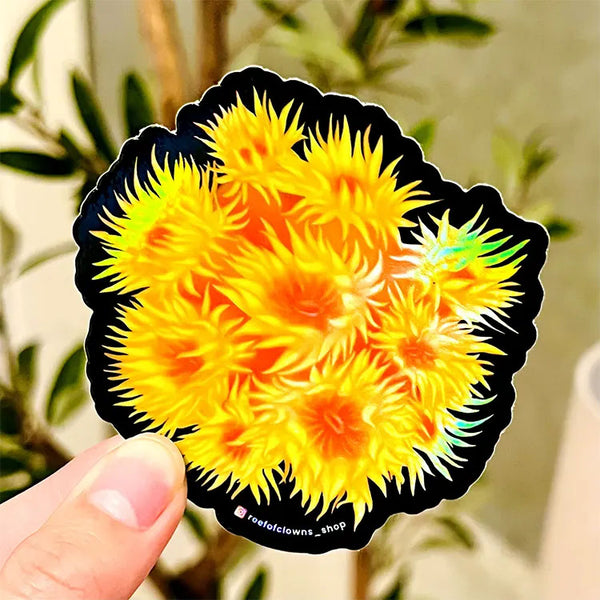 Sun Coral Holographic