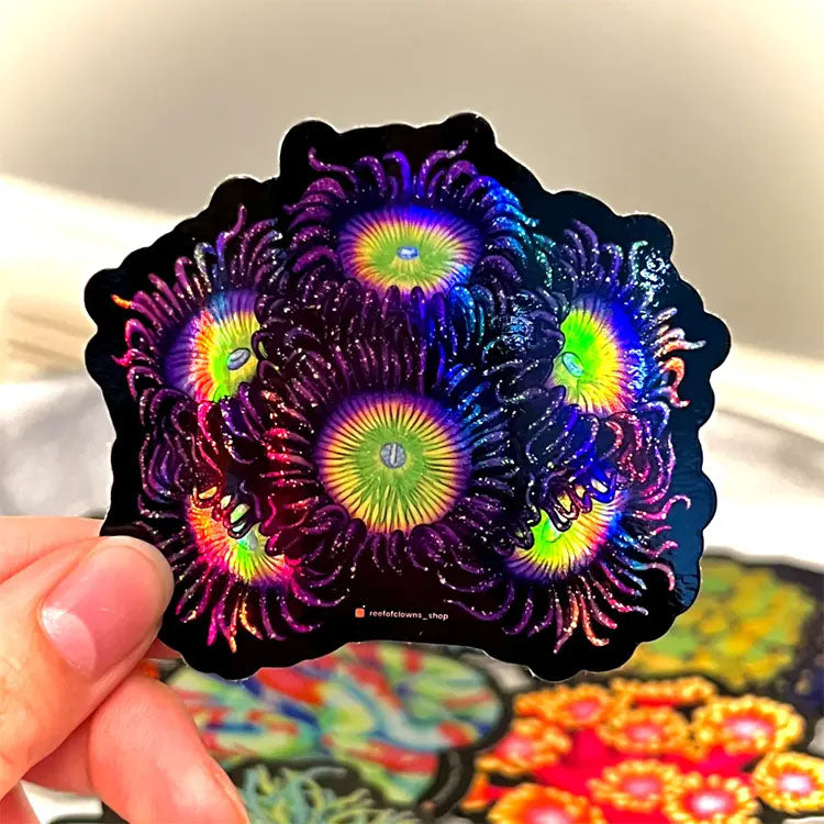 Sunny D Zoanthids Coral Sticker Holographic