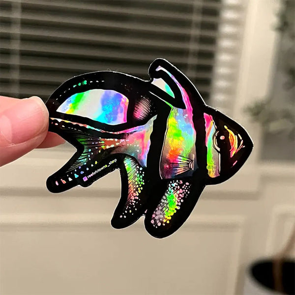 Super Male Lineatus Wrasse Holographic