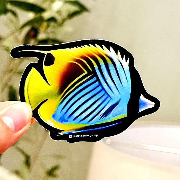 Threadfin Butterflyfish Holographic