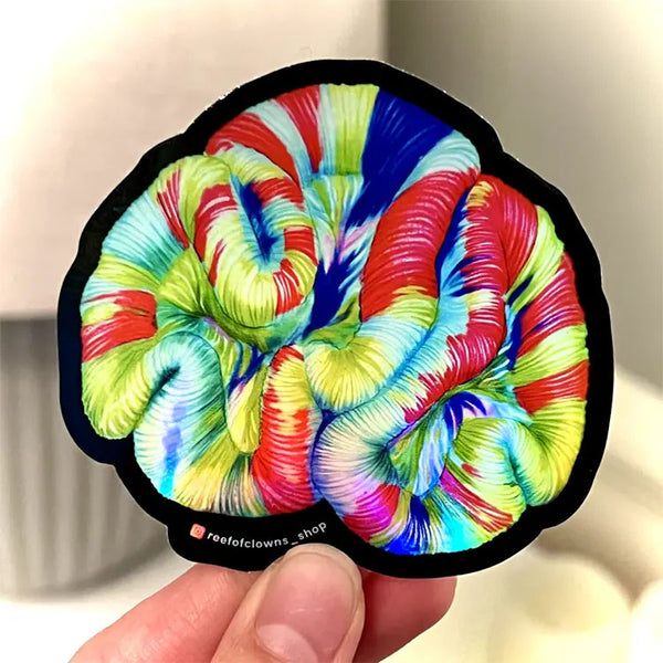Trachyphyllia Coral Sticker