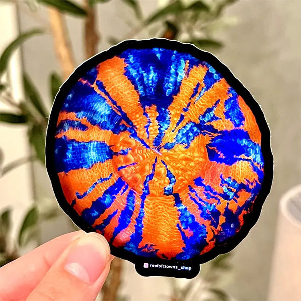 War Paint Scoly Holographic