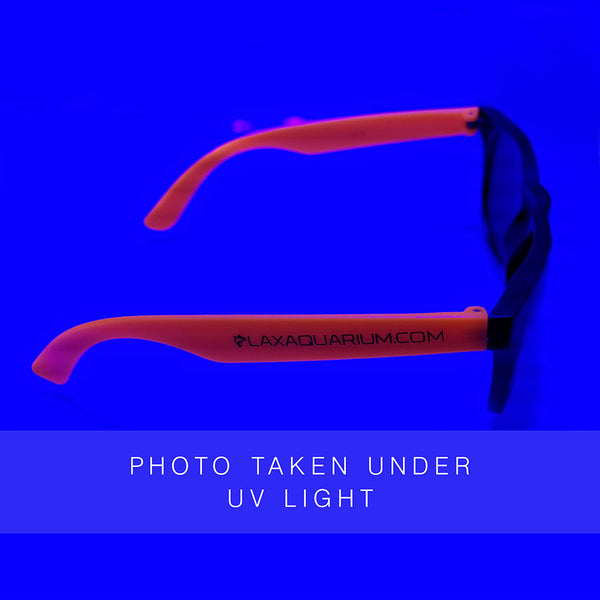 Lax Aquarium Coral Viewing Glasses