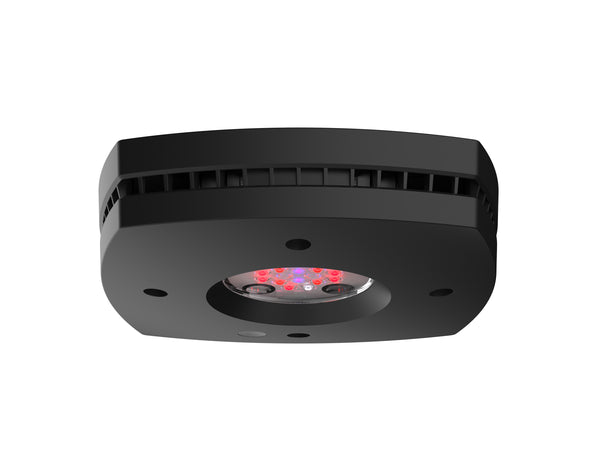 Detail photo for Aqua Illumination AI Prime 16 Smart Refugium LED Fuge Light - Black Body